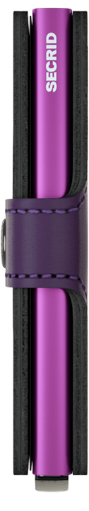 Purple - Lila