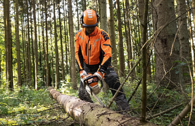 STIHL MS 300 C-M im Test: Preis, technische Daten und Vorteile der neuen Profi-Motorsäge