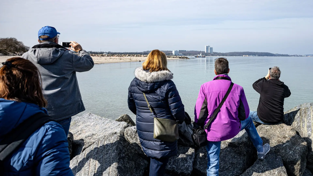 Warum ist der Buckelwal in der Ostsee? Was über das Tier vor Niendorf bisher bekannt ist