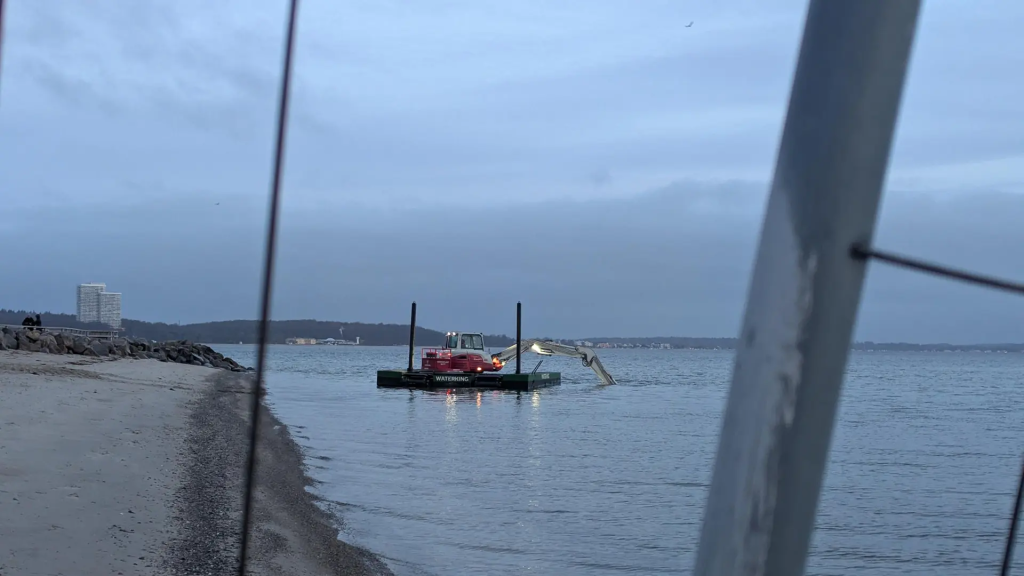 Warum ist der Buckelwal in der Ostsee? Was über das Tier vor Niendorf bisher bekannt ist