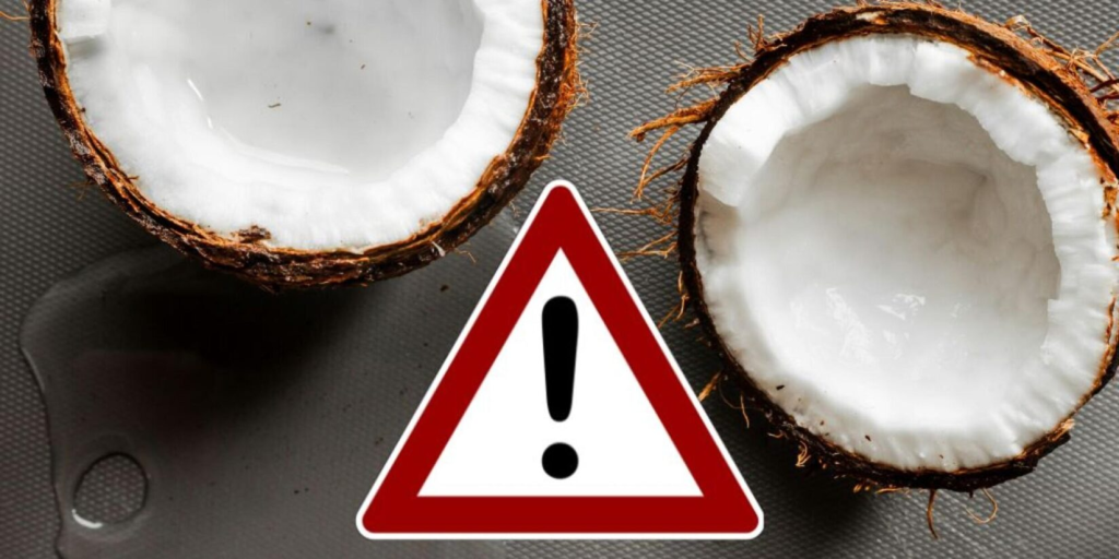 Edeka-Rückruf bei Trink-Kokosnüssen: Welche Produkte betroffen sind und worauf Kunden jetzt achten sollten Edeka-Rückruf bei Trink-Kokosnüssen: Welche Produkte betroffen sind und worauf Kunden jetzt achten sollten