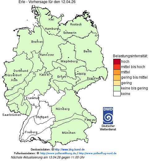 Pollenbelastung in Deutschland am 12. April 2026: Wo der Pollenflug heute hoch ist