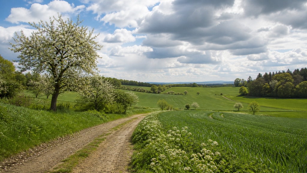 Bauernregeln zum 1. Mai: Was Regen, Sonne und Frost über die Ernte verraten