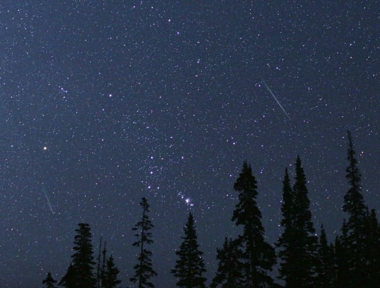 Sternschnuppen heute Nacht: Wann die Perseiden 2026 zu sehen sind