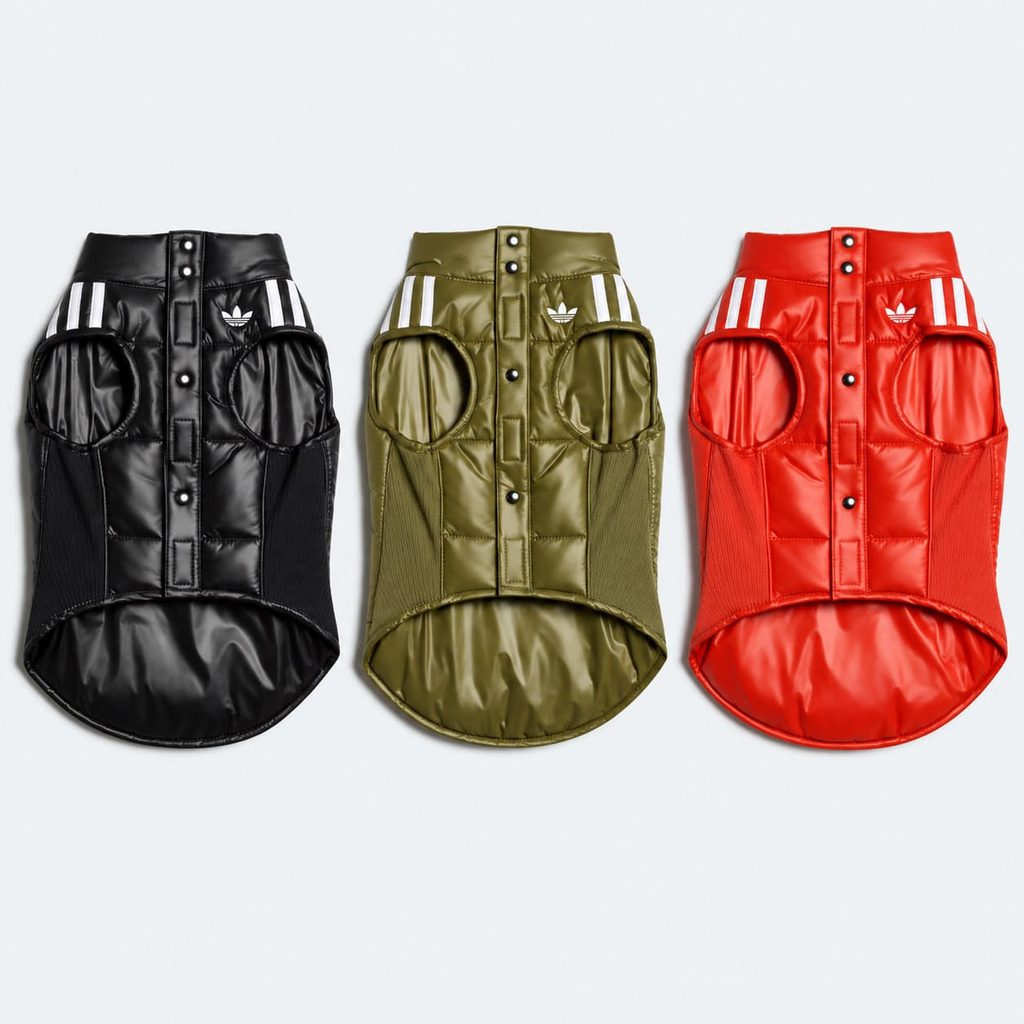 Adidas bringt Winterkleidung für Hunde: Was kosten die Jacken und Hoodies, welche Größen gibt es und wo kann man sie kaufen?